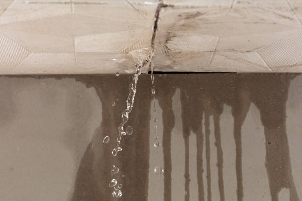 Professional Water Damage Repair technician working in Naples, UT